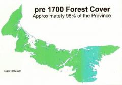 A map showing that forests covered nearly 100% of PEI in 1700
