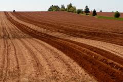 Farm field with red soil